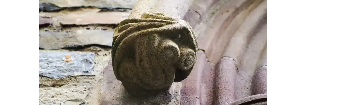 Dr Ramona Usher Conservation logo